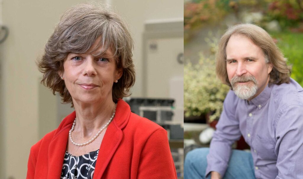 Agri-tech offers ‘soil up’ approach to restoring environmental balance and farm incomes