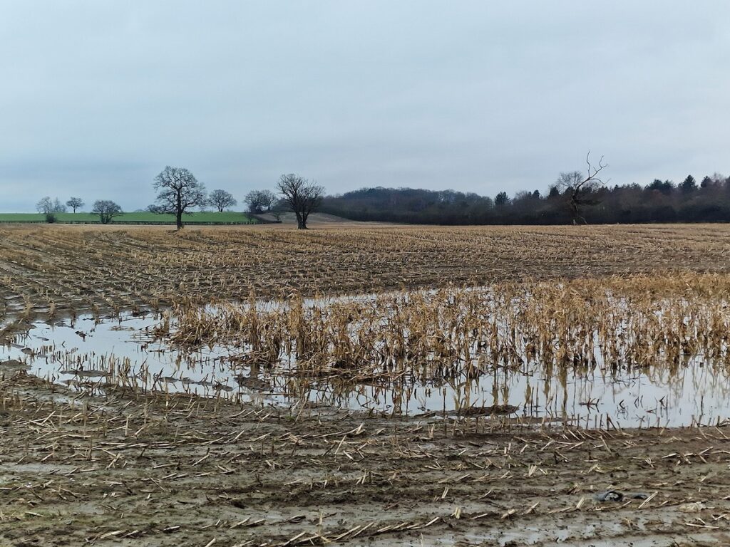 Soil testing vital following flooding