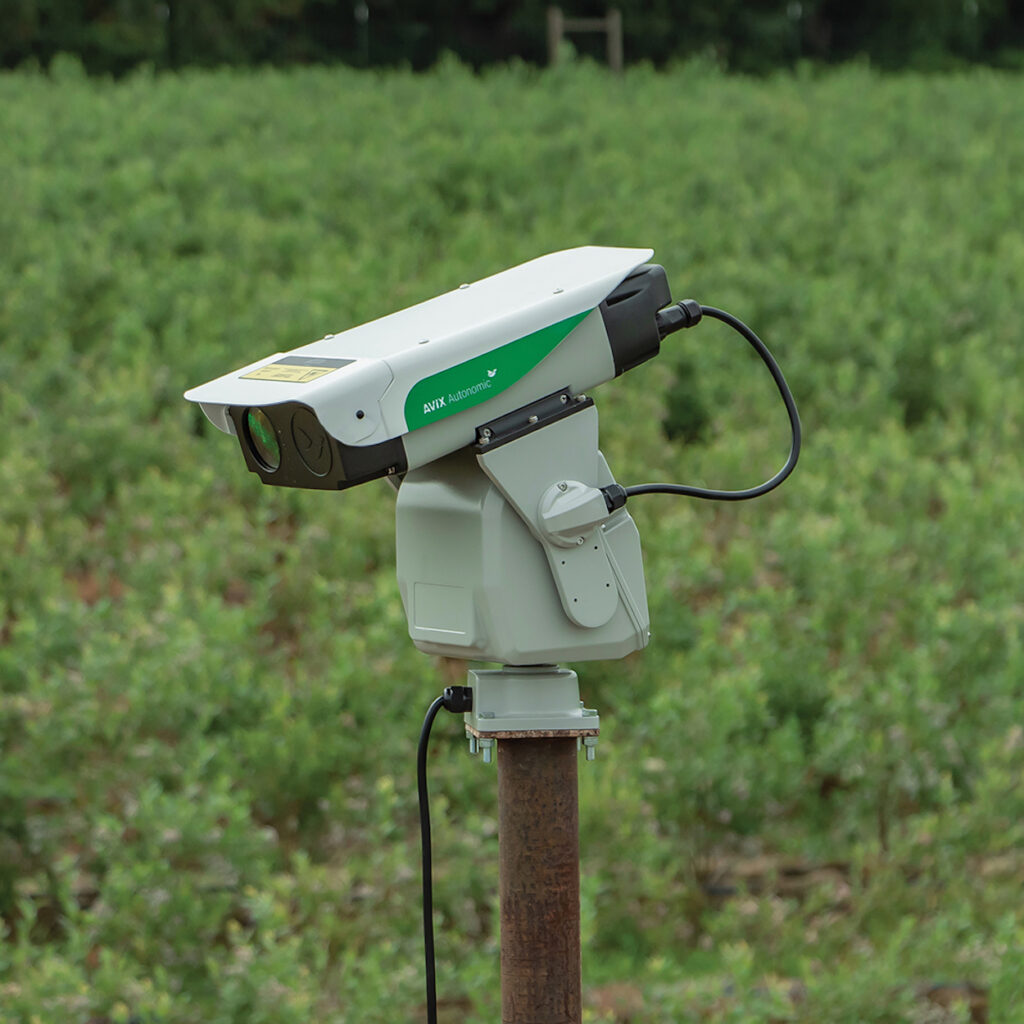 Laser bird deterrent technology revolutionises farming practices