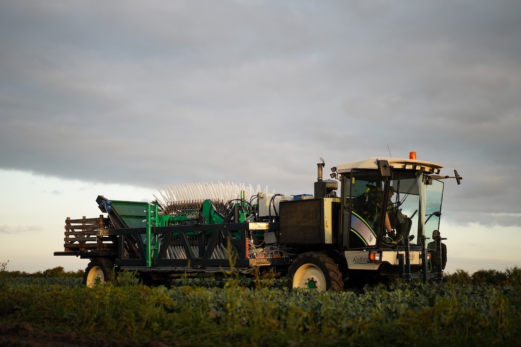 Sustainable broccoli partnership